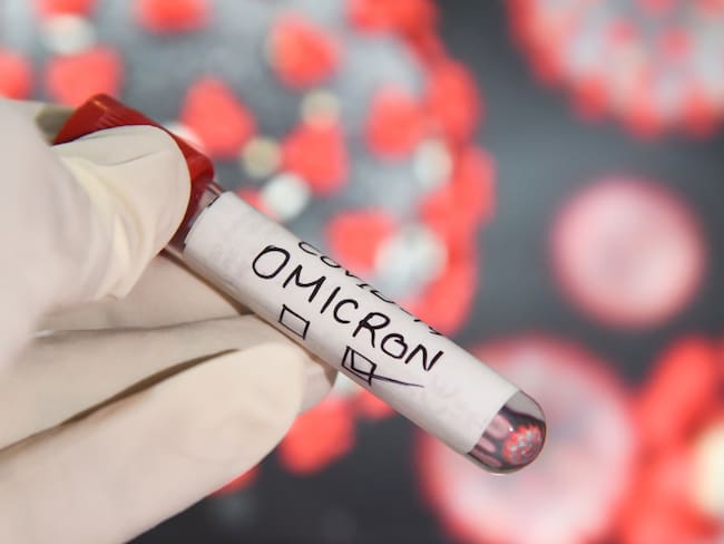 ¿Qué es la variante omicron XBB?