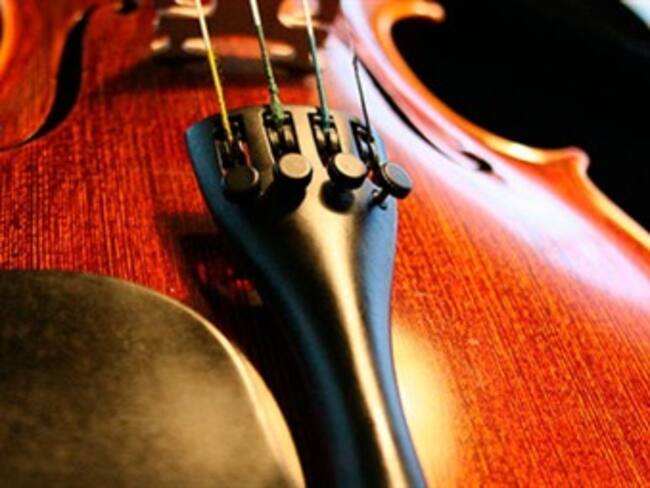 Hongos en madera. José Franco, director de Divulgación de la Ciencia de la UNAM. 20/03/13