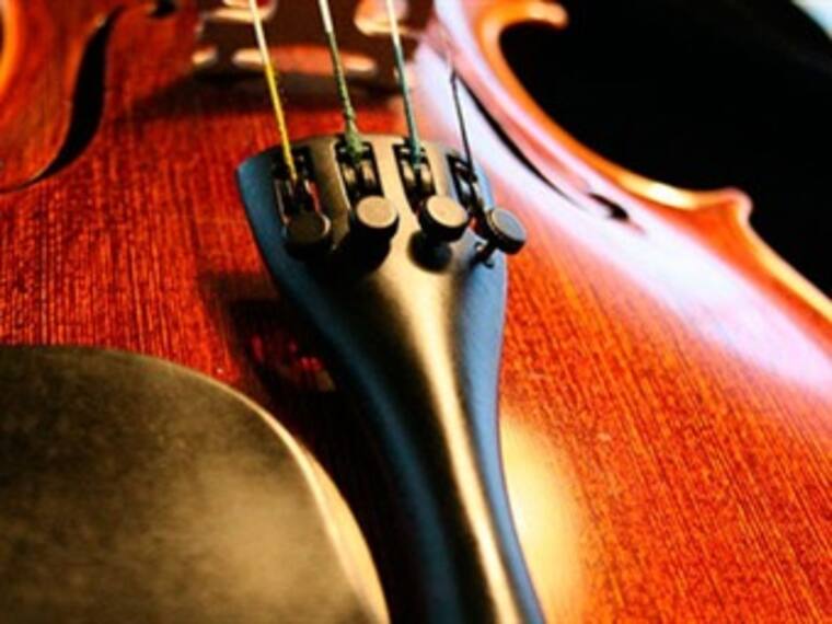 Hongos en madera. José Franco, director de Divulgación de la Ciencia de la UNAM. 20/03/13