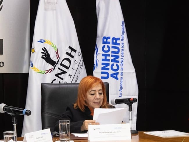 Consejo Consultivo de la CNDH no se tomaba en cuenta: Tania Espinosa