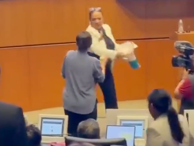 Así fue la riña entre Lily Téllez y Lucía Trasviña en el Senado | VIDEOS