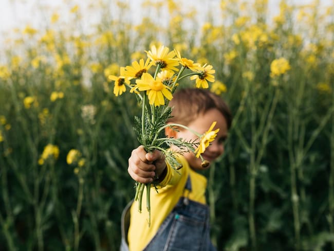 Flores amarillas: ¿cuáles son las más bonitas y cuáles se regalan este 21 de septiembre?
