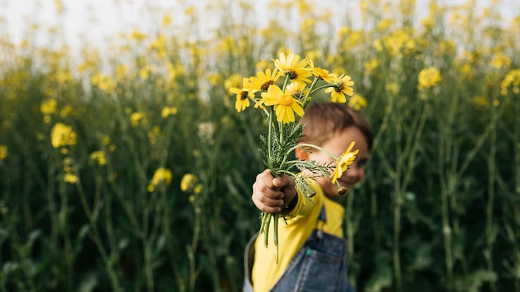 Flores amarillas: ¿cuáles son las más bonitas y cuáles se regalan este 21 de septiembre?