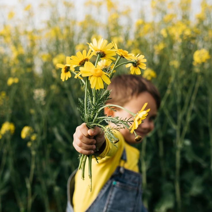 Flores amarillas: ¿cuáles son las más bonitas y cuáles se regalan este 21 de septiembre?