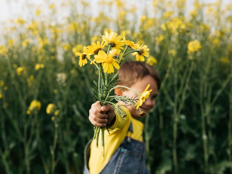 Mx - Estas son las flores amarillas que más se compran para este 21 de septiembre