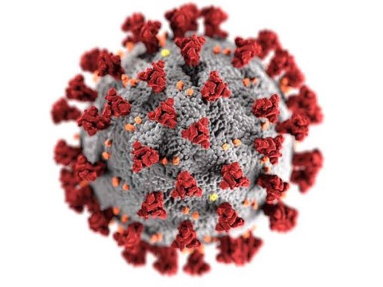 ¡No bajes la guardia! La OMS mantiene la emergencia mundial por COVID-19
