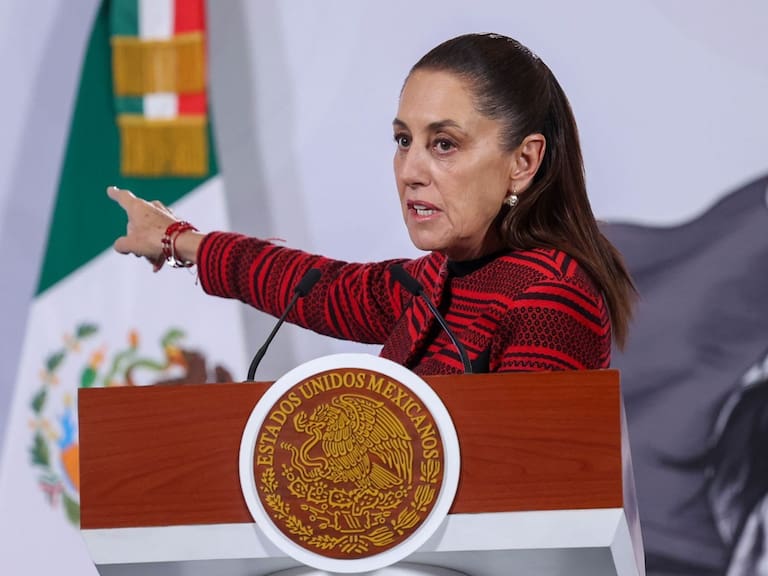 Confirmó la presidenta sanciones para una mujer que decidió asolearse en una ventana de Palacio Nacional.