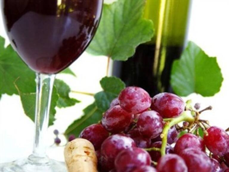 Merlot y Sauvignon, entre las mejores uvas