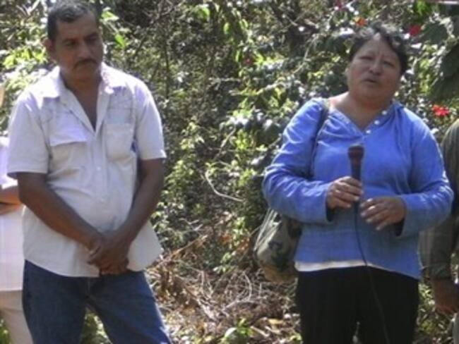 Proponen crear comisión especial sobre ecologistas desaparecidos