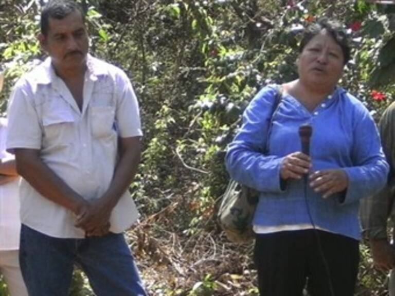 Proponen crear comisión especial sobre ecologistas desaparecidos