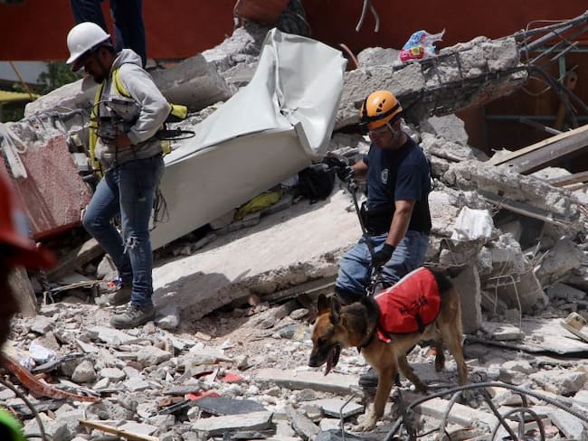 Urge la donación de víveres para damnificados en Xochimilco