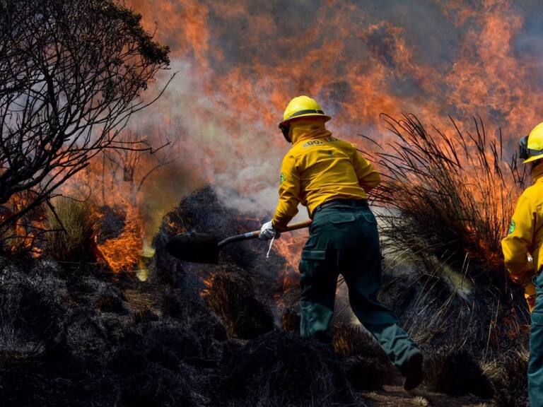 Reportan 73 incendios forestales, 7 de ellos en Áreas Naturales Protegidas