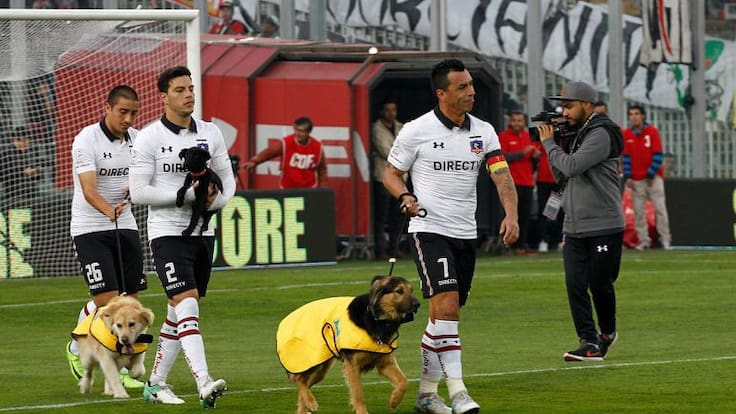 Jugadores del Colo Colo salen al campo con perros callejeros