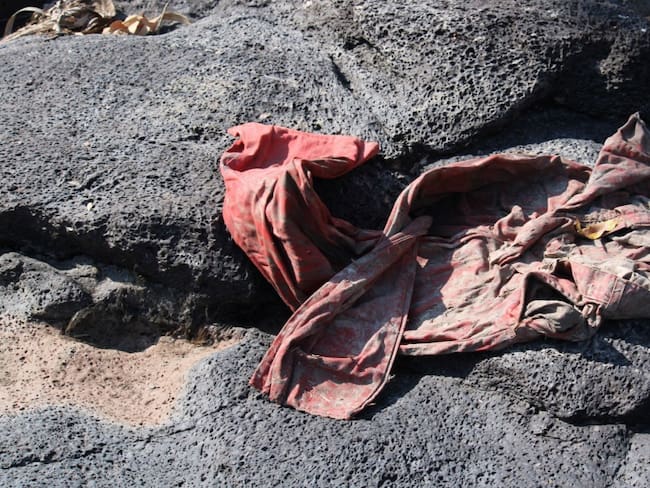 Extraen 53 bolsas con restos humanos en Irapuato, Guanajuato
