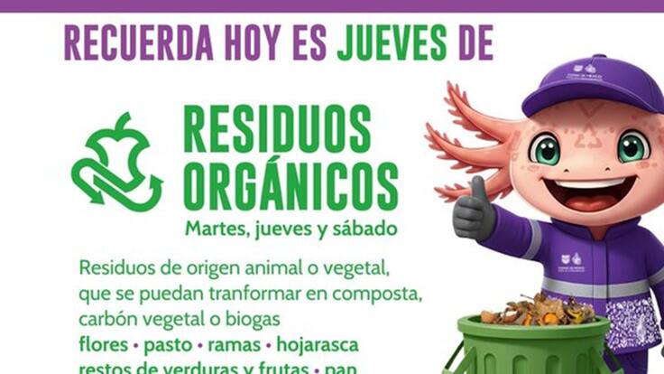 ¿Ya pasó el camión de la basura? Hoy es jueves de residuos orgánicos en CDMX