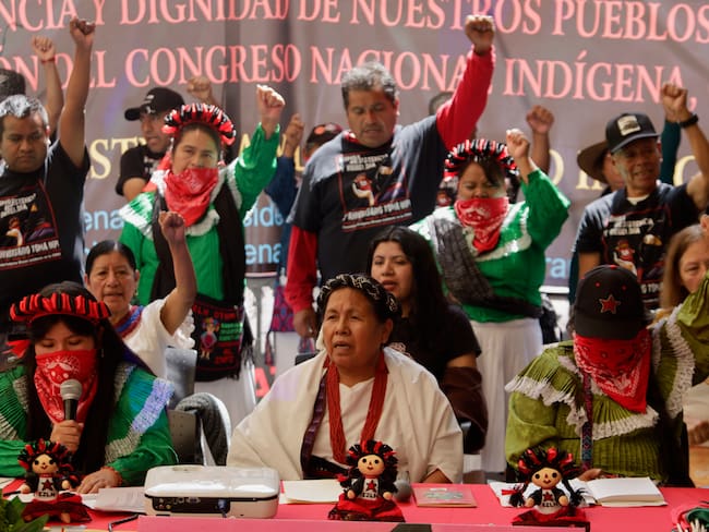 CNPI rechaza creación de partidos indígenas por falta de legitimidad y representación