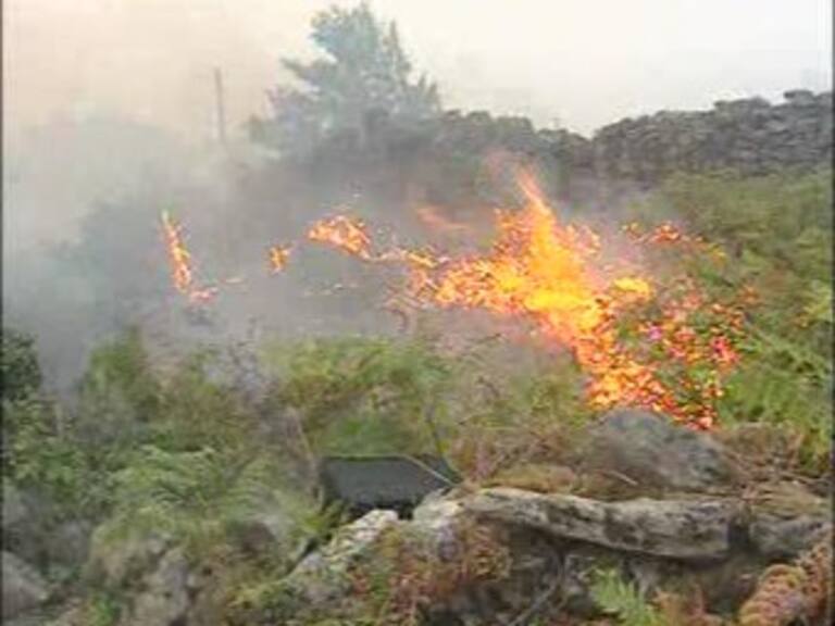 Reporta SEMARNAT más de 65 mil hectáreas afectadas por incendios en Coahuila