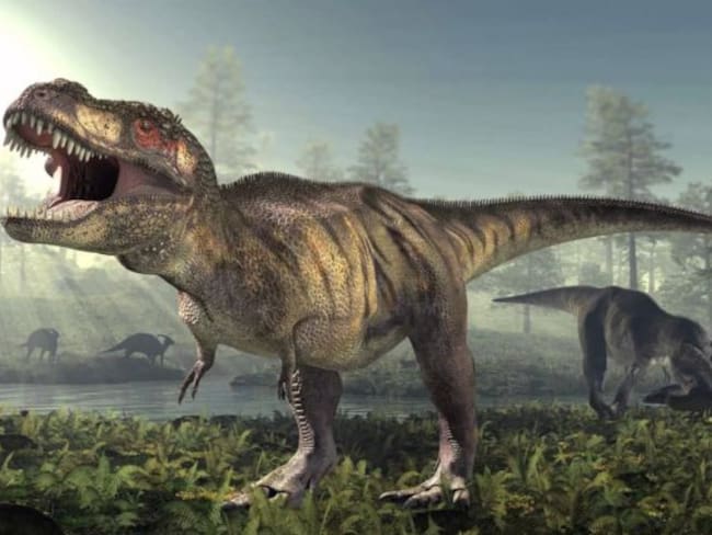 Encuentran cola de dinosaurio preservada y revela que no son como los imaginábamos