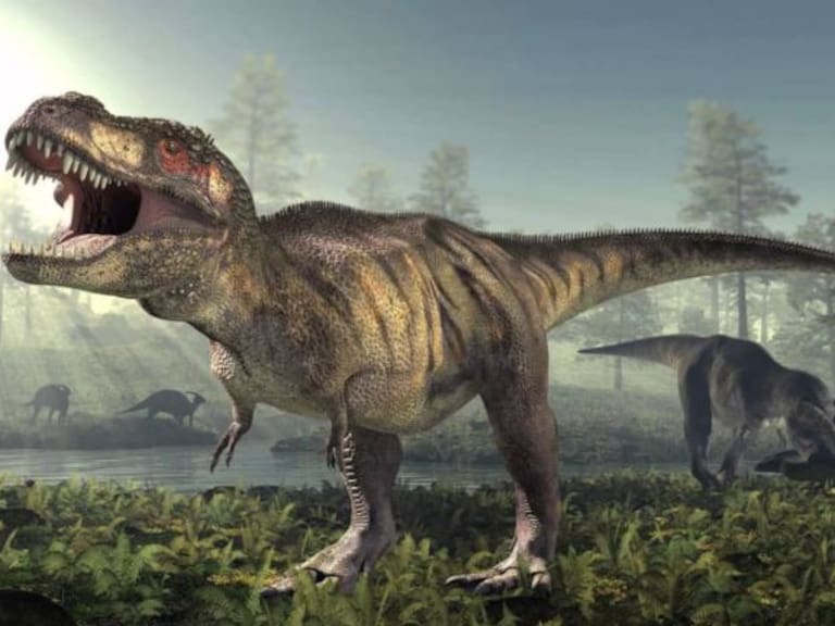 Encuentran cola de dinosaurio preservada y revela que no son como los imaginábamos