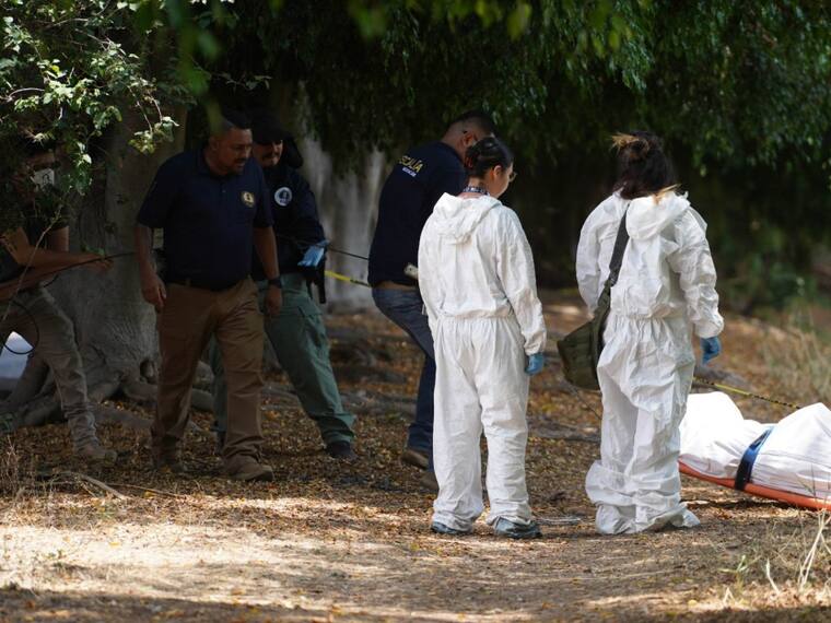 Guanajuato, Edomex, Baja California, Jalisco, Chihuahua y Michoacán a la cabeza en homicidios