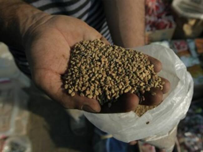 Suspende UE importación de semillas de Egipto por E.coli