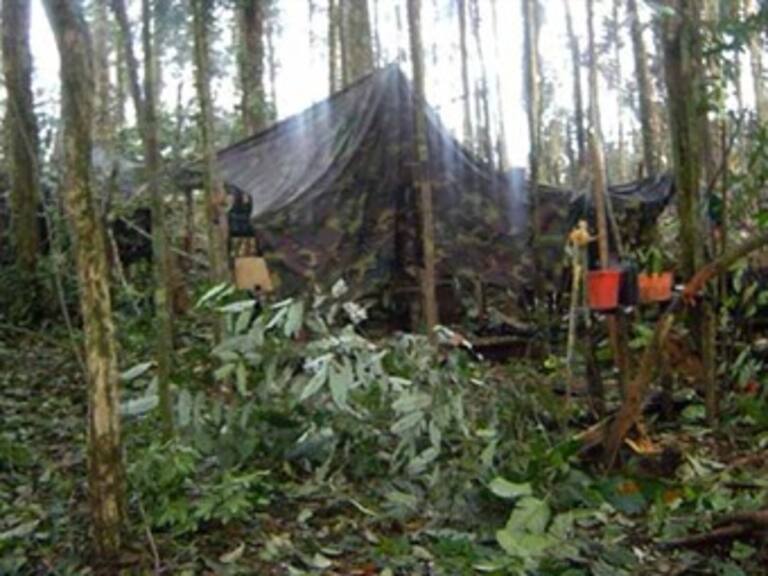 CIDH admite queja de Ecuador contra Colombia por bombardeo a FARC