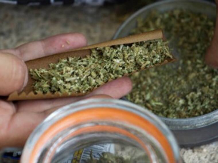 ¿Descriminalizar o no la marihuana?