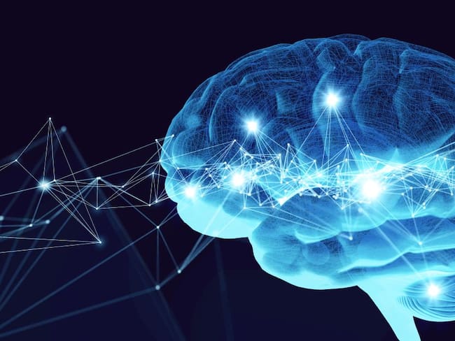 Lo que hace humano al cerebro