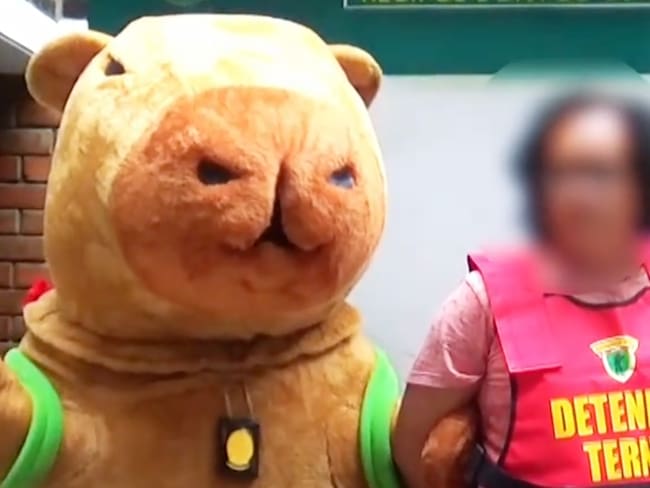 Policía disfrazado de capibara captura a traficante de drogas en Lurín, Perú | VIDEO