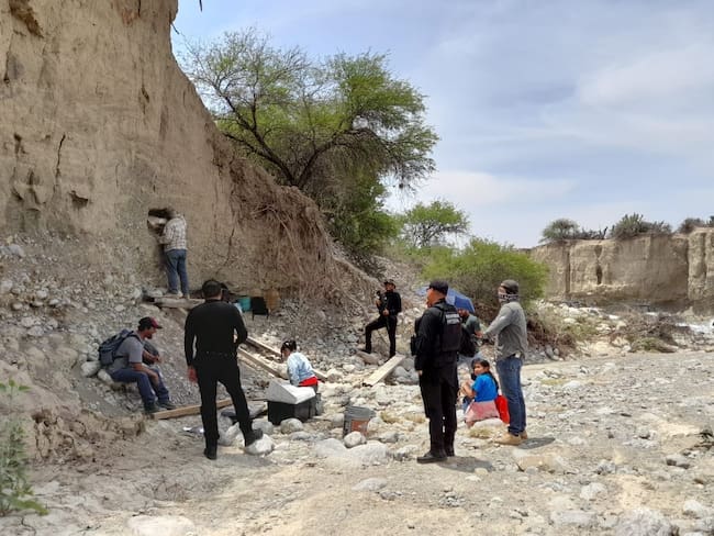 Hallan restos fósiles que podrían ser un mamut en Tamaulipas