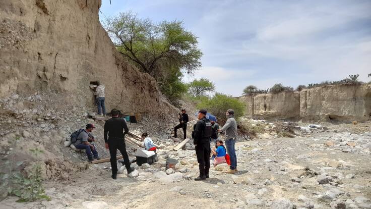 Hallan restos fósiles que podrían ser un mamut en Tamaulipas