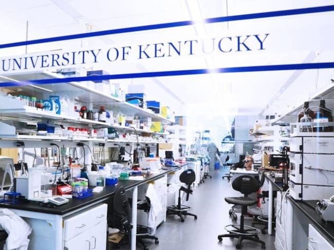 Récord de mexicanos en universidades de EE.UU.: más de 15,000 estudiantes buscan educación superior