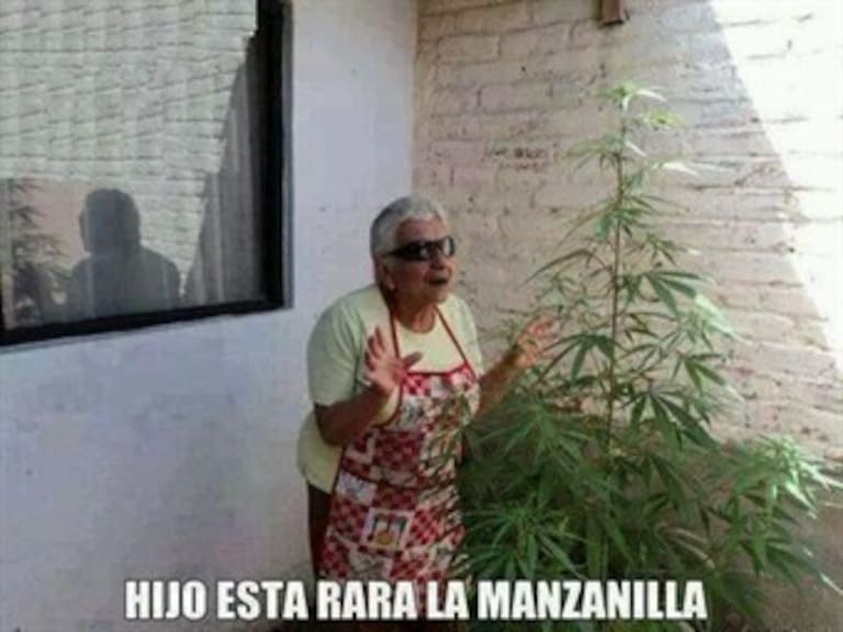 Los memes no se hicieron esperar con la aprobación del uso de marihuana con fines lúdicos