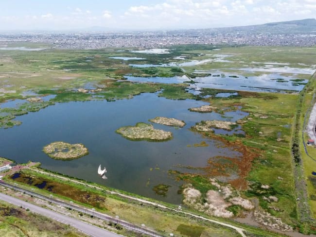 Parque Ecológico de Texcoco destituye a su director de construcción