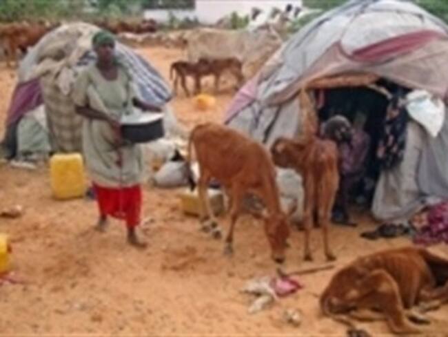 Sequía en Africa es el peor desastre humanitario mundial: ONU