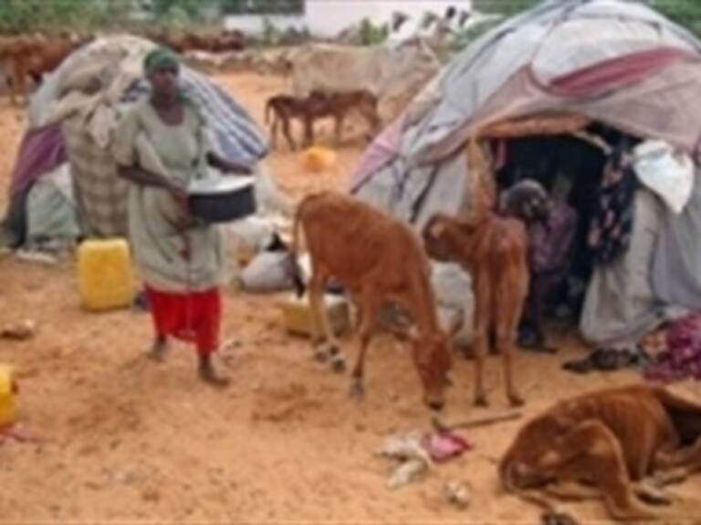 Sequía en Africa es el peor desastre humanitario mundial: ONU