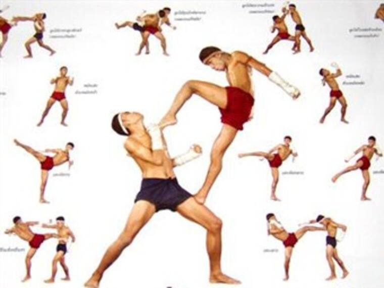 UFC Network: Artes Marciales Mixtas. Karen Manzano, TDN