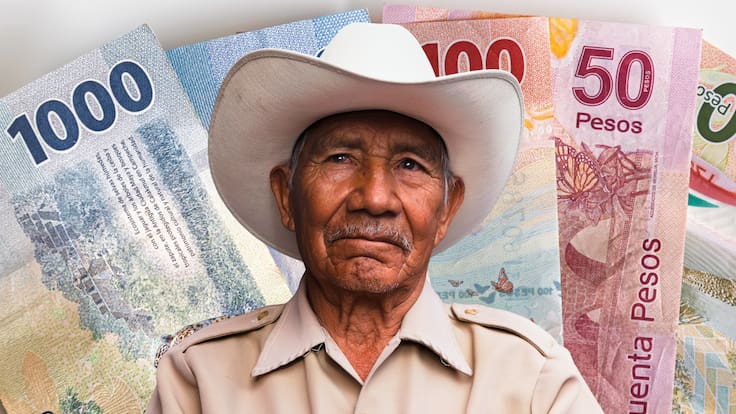 Pensión mínima garantizada Ley 73: ¿Quiénes pueden solicitarla y cuánto recibirán en 2026?