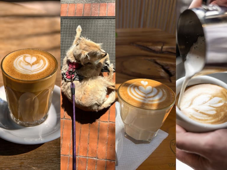 Tres cafeterías de especialidad pet friendly en la CDMX que preparan un delicioso flat white
