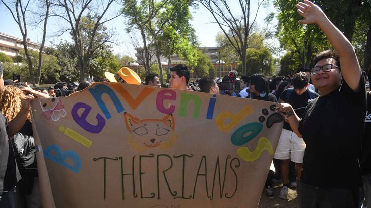 Movimiento Therian: Se frustra reunión en Ciudad Universitaria