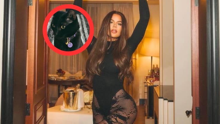 Cirugía de gatos: ¿Por qué Khloé Kardashian desató polémica tras procedimiento a sus mascotas?