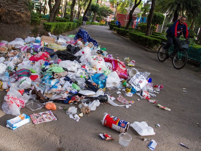 PVEM llama a evitar contaminación por desperdicio en esta temporada