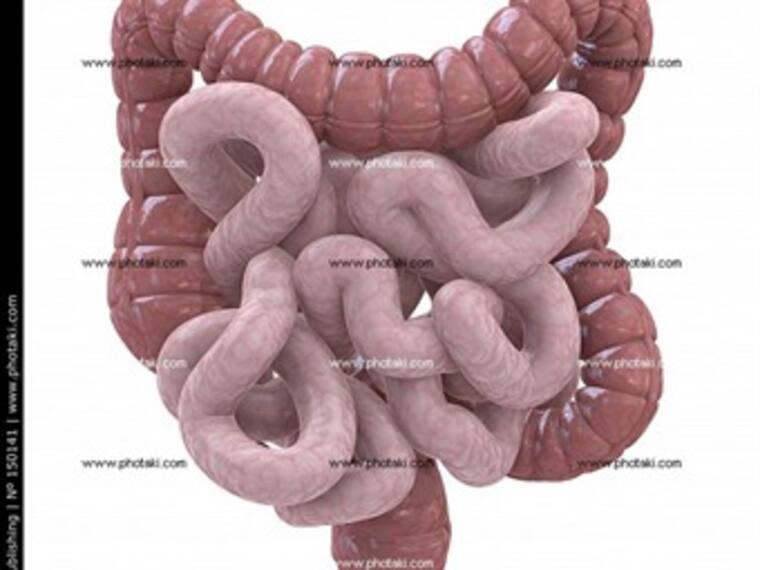 Intestinos y flora intestinal.'Planea tú salud' con Arieh Goldberg