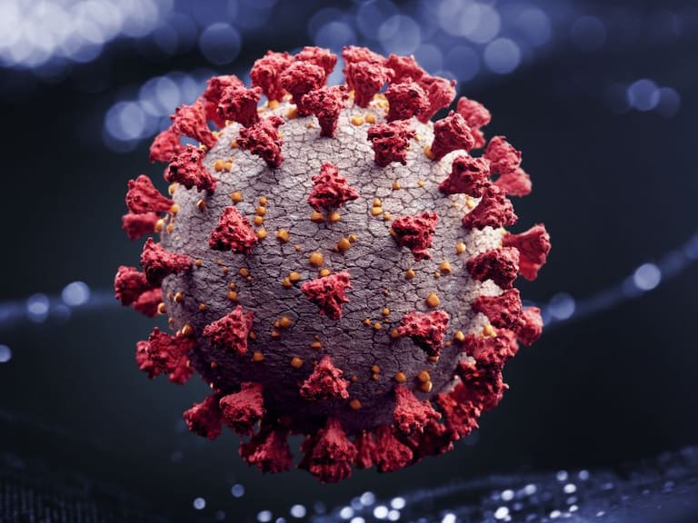 Coronavirus México; es hoy 8 de mayo el día de pico de contagios de COVID