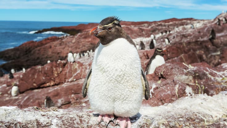 La desaparición de los glaciares avanza a un ritmo alarmante en el planeta