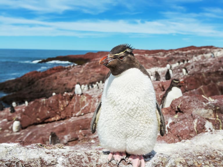 La desaparición de los glaciares avanza a un ritmo alarmante en el planeta