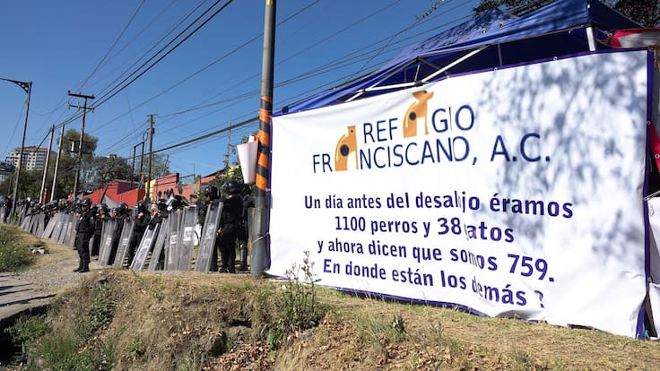 Rescatan 936 animales del Refugio Franciscano en Cuajimalpa; Fiscalía argumenta maltrato