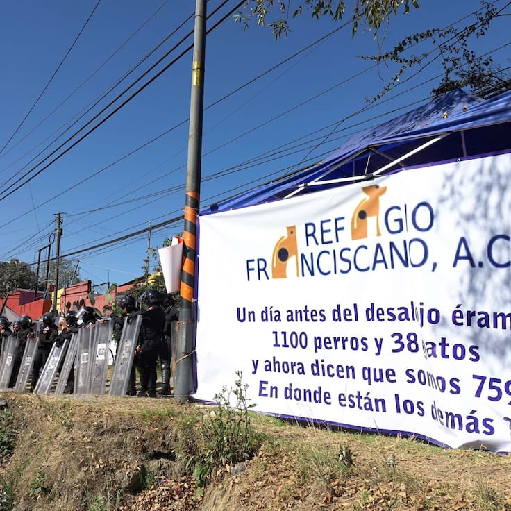 Rescatan 936 animales del Refugio Franciscano en Cuajimalpa; Fiscalía argumenta maltrato
