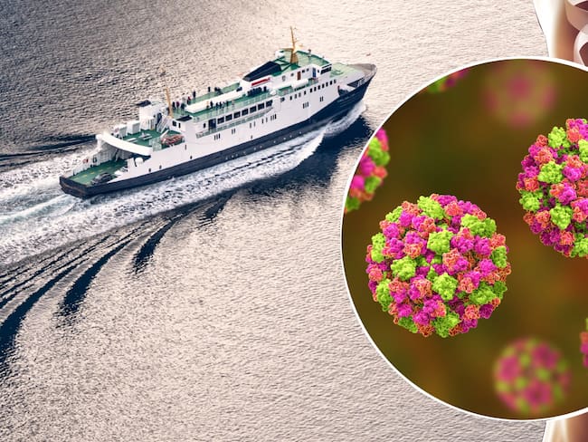 Alerta por brote de Norovirus en crucero de Florida: Qué es, síntomas y diferencias con el Hantavirus