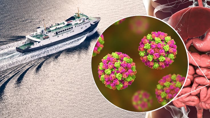 Alerta por brote de Norovirus en crucero de Florida: Qué es, síntomas y diferencias con el Hantavirus
